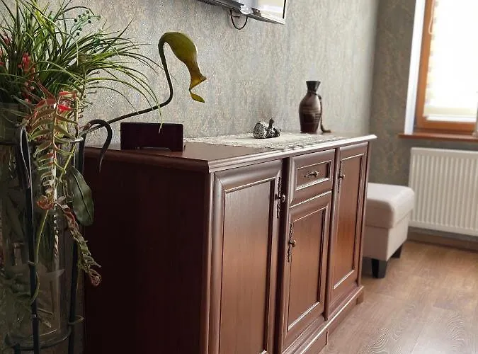 On Franka リヴィウ